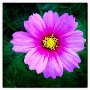 316634_2447057897912_1295853344_33180404_1993577937_n